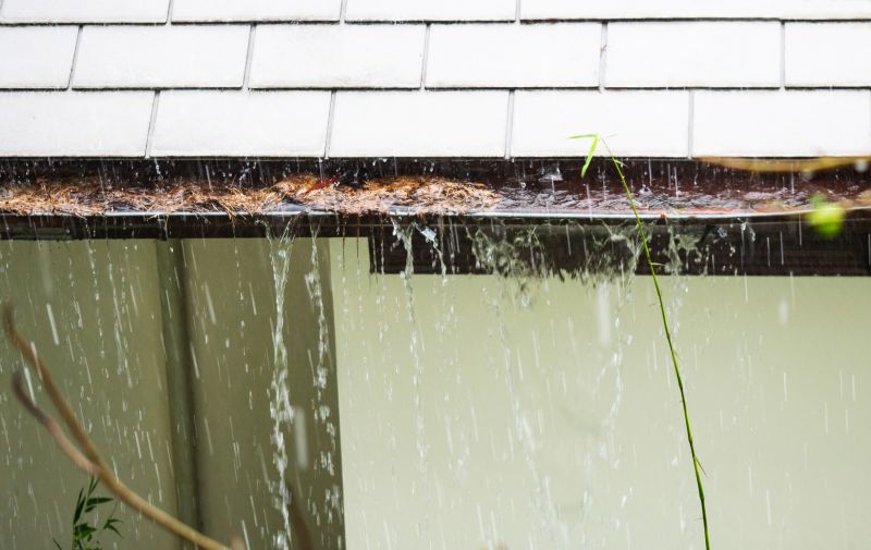 Clogged Gutters Blocked