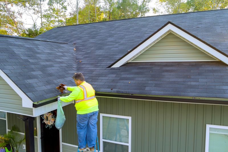 Residential Gutter Care