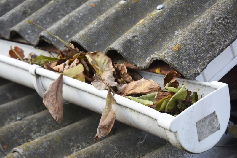 Clogged Gutter Blockages