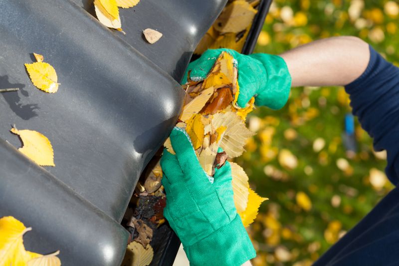 Fall Gutter Maintenance