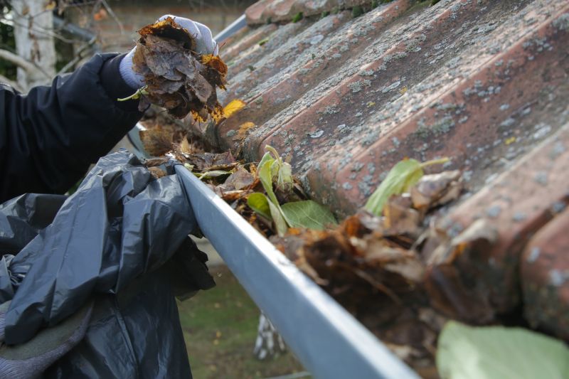 When to Schedule Gutter Maintenance