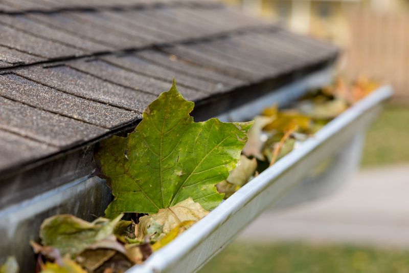Signs You Need Gutter Service
